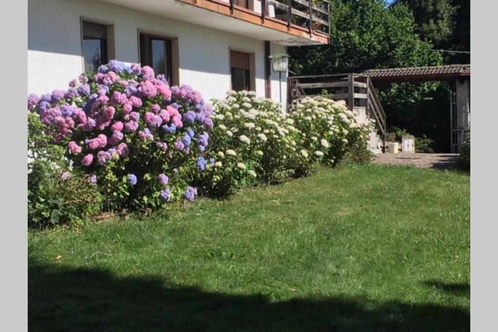 Villa Immersa Nel Verde A Lanzo dʼIntelvi Exteriér fotografie