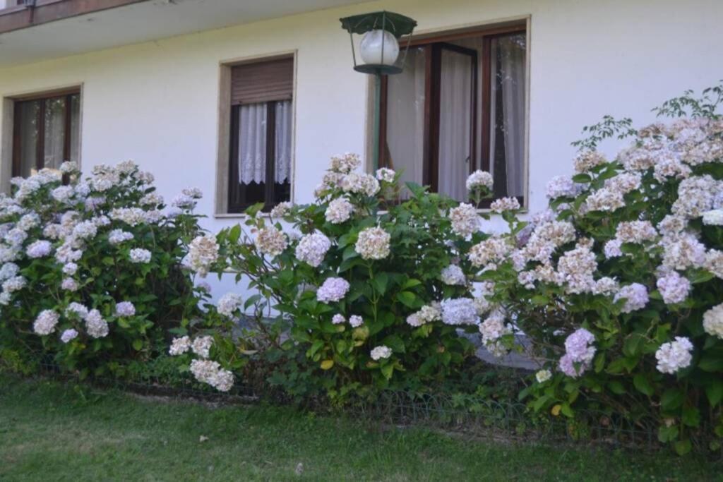 Villa Immersa Nel Verde A Lanzo dʼIntelvi Exteriér fotografie